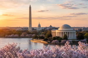 US midterms: what will the outcome mean for US assets and the dollar?